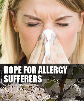 Allergy Sufferers - Health and Healing - Ann Arbor, Michigan - Hope for Allergy Sufferers
