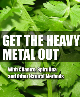 Getting Heavy Metals Out Of The Body - Detoxify Your Body With Cilantro