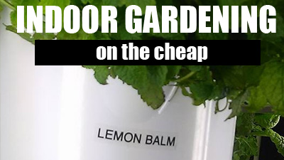 Tower Garden Indoor Gardening -   Inexpensive Gardening Beat The High Cost Of Organic Foods